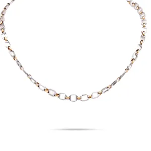 Cartier 18K Yellow Gold and Steel Chain Necklace