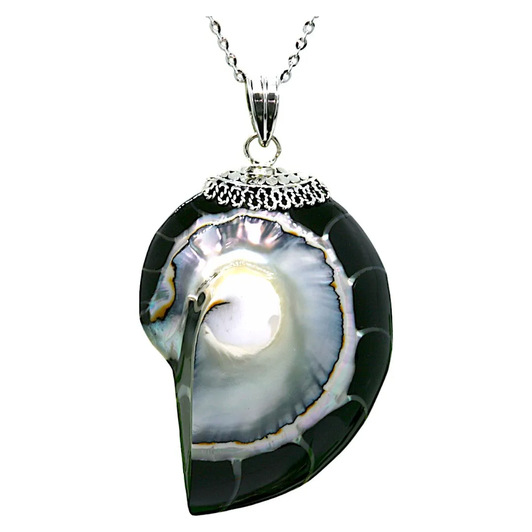 Nautilus Natural Black Pearl Shell Necklace